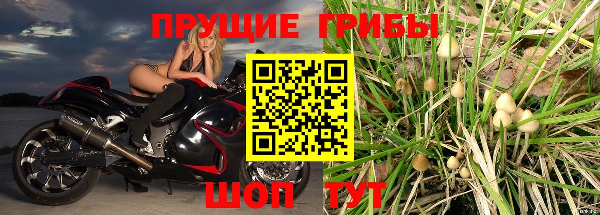 Псилоцибиновые грибы прущие грибы  Галлюциногенные грибы Psilocybine cubensis  Клин  Вход с VPN 