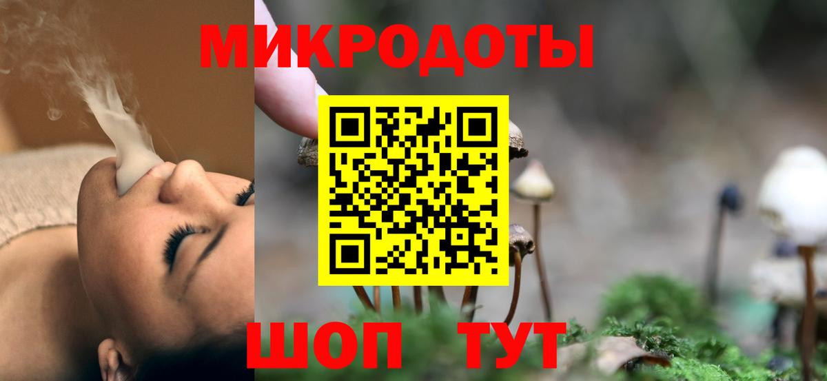 Псилоцибиновые грибы Psilocybine cubensis Клин